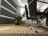 Office Carpet Cleaning