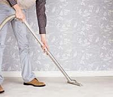 Best Carpet Cleaning Companies