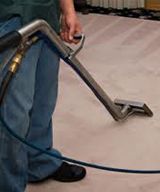 Professional Carpet Cleaning Machines